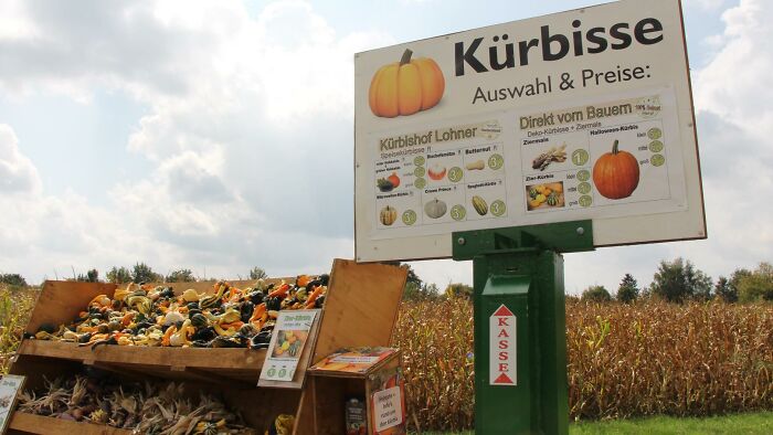 Idea: The self-service fields that run by the roads mean anyone is invited to pick whatever they please in the field, whether it’s fruits, vegetables, or flowers. There is no vendor to control the transactions. The sign with a price tag and a box to put money in is all there is to make a purchase for whatever it is that people picked in the fields.

Result: Not only were no thefts reported, but people would pay even more than the price tags asked.