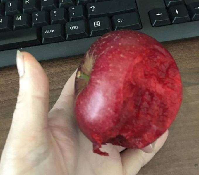 “This apple’s flesh is the same color as its skin.”