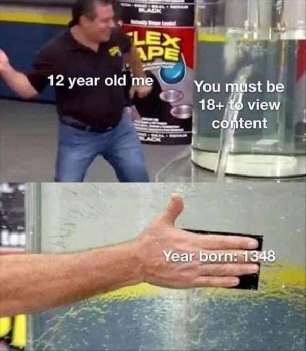 coronavirus zoom meme - "Lex Pe 12 year old me You must be 18 to view content Year born 1348