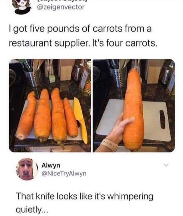carrot as dildo meme - I got five pounds of carrots from a restaurant supplier. It's four carrots. Ulonzo Alwyn That knife looks it's whimpering quietly...
