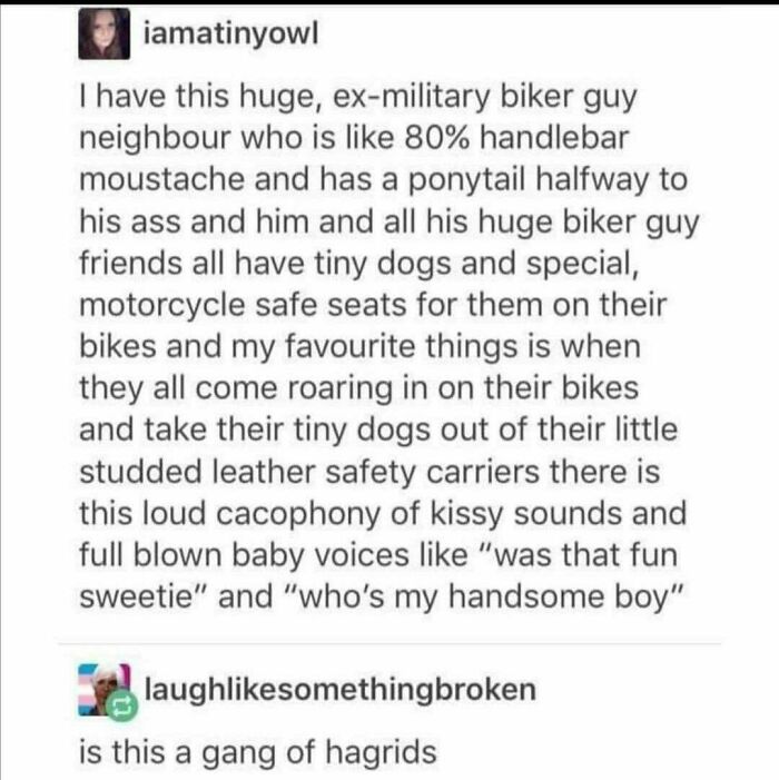 gang of hagrid's - iamatinyowl I have this huge, exmilitary biker guy neighbour who is 80% handlebar moustache and has a ponytail halfway to his ass and him and all his huge biker guy friends all have tiny dogs and special, motorcycle safe seats for them 