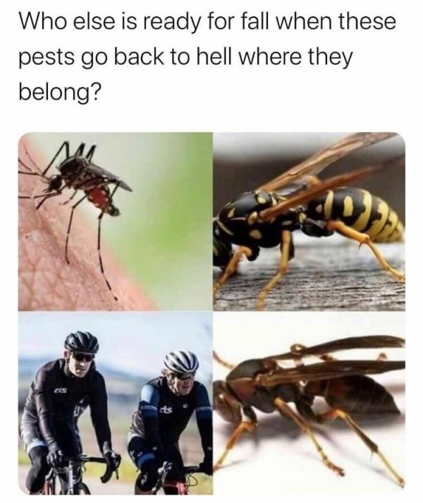 Who else is ready for fall when these pests go back to hell where they belong?