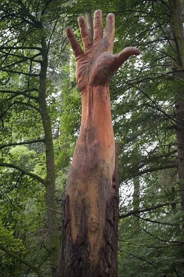 giant hand carved in tree