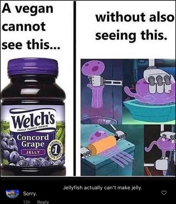 jelly memes - A vegan cannot without also seeing this. see this... Welch's Tamily Vagner Owned Concord Grape 1 Jelly Jellyfish actually can't make jelly. Sorry. 13h