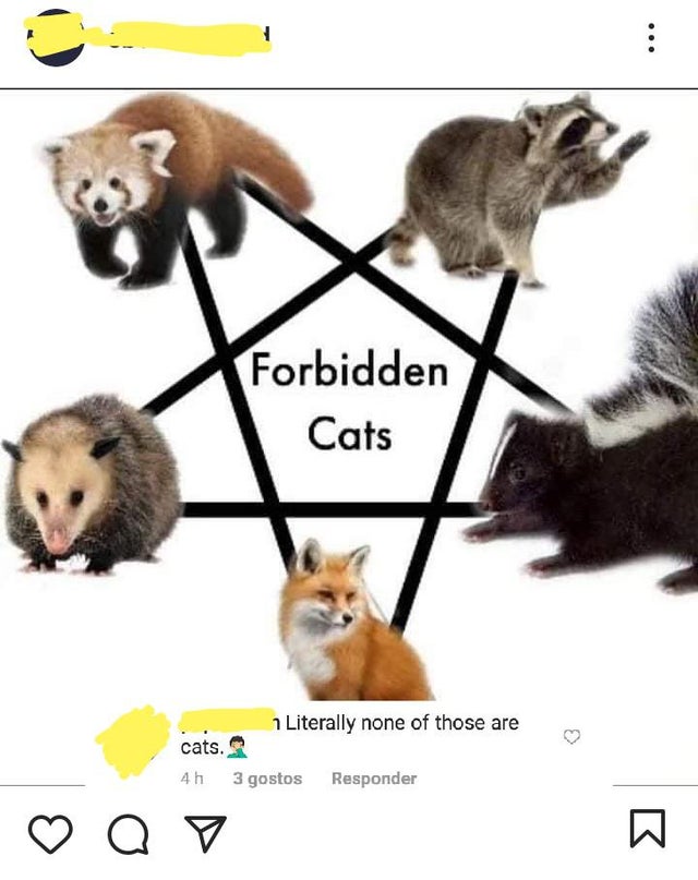 satan triangle - Forbidden Cats 1 Literally none of those are cats. 4h 3 gostos Responder a o B