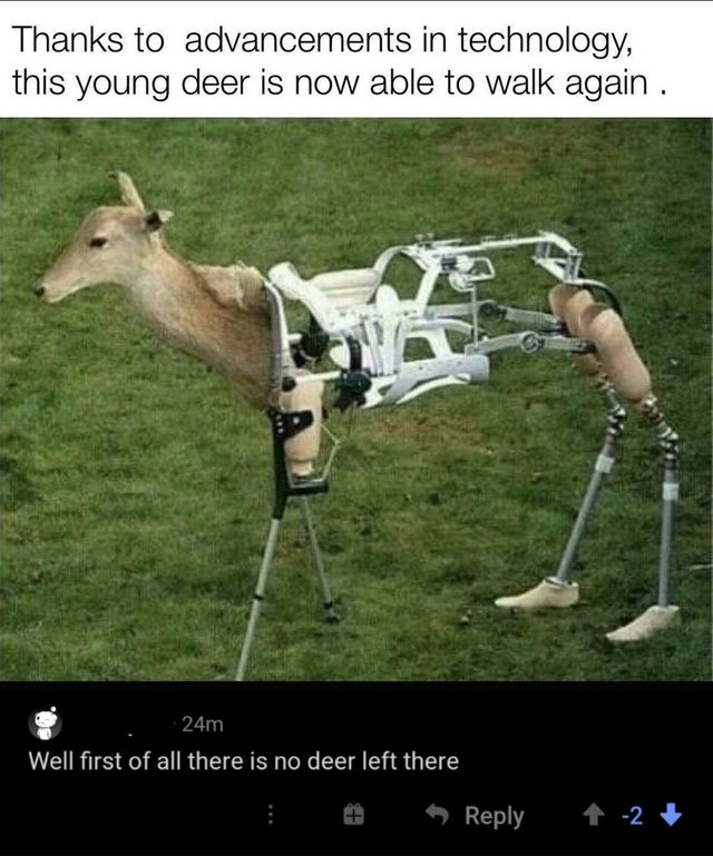 taking pictures of animals - Thanks to advancements in technology, this young deer is now able to walk again . 24m Well first of all there is no deer left there 2