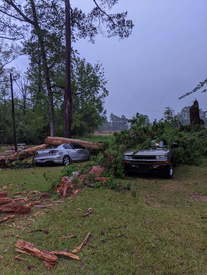 As If Covid-19 And Losing Jobs Wasn't Bad Enough, We Just Lost Both Cars To A Tree. Happy Easter Everyone!