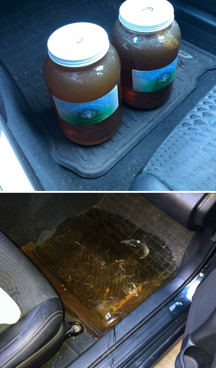 A Gallon Jar Of Honey Cracked And Spilled In My Friend’s Car The Other Day