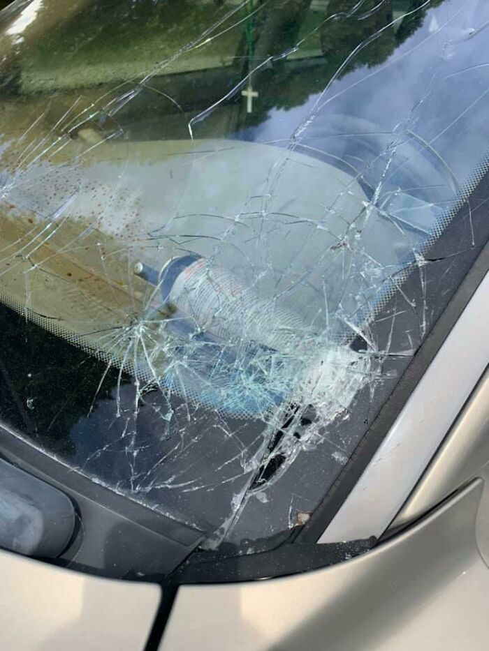 Friend Forgot He Had Bear Mace In His Car After Camping Over The Weekend, And The Hot Sun Turned It Into A Spice Missile That Shattered The Windshield And Coated The Inside In No-No Foam