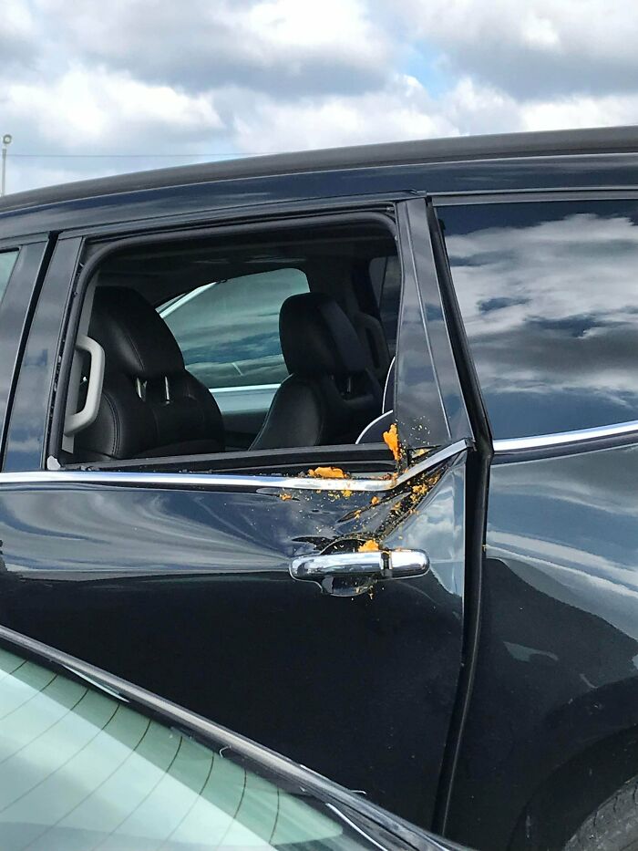 Pumpkin Shot 900 Ft Into A Car At A Local Pumpkin Launching Event