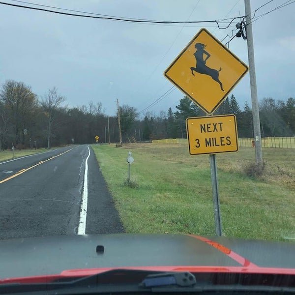 deer crossing sign - Next 3 Miles
