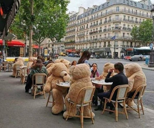 social distancing with teddy bears paris