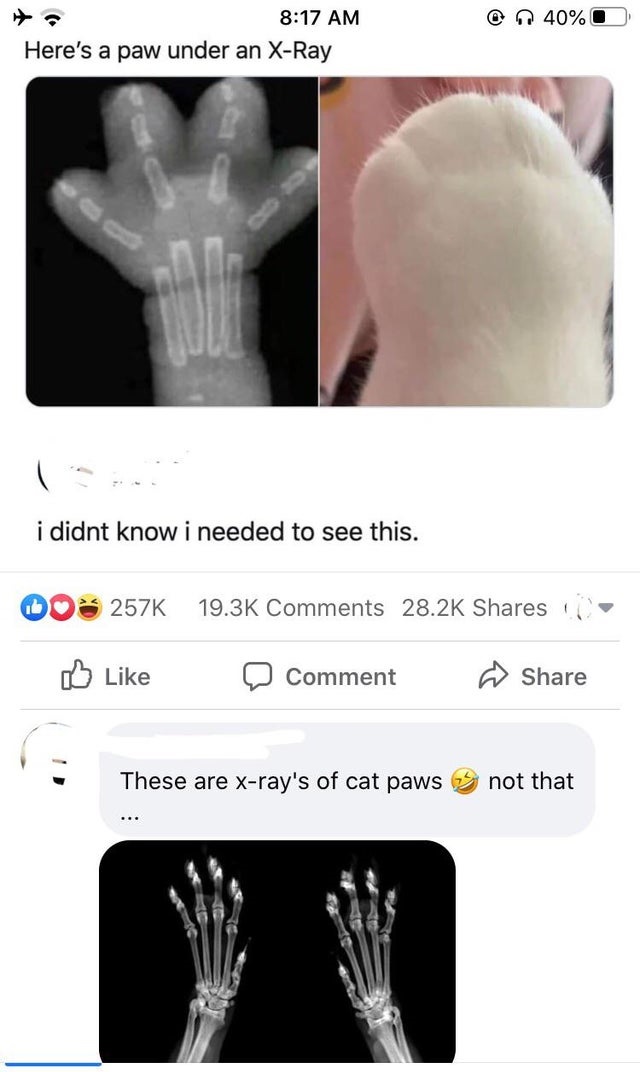 internet liars called out - paw under x ray - 40% Here's a paw under an XRay i didnt know i needed to see this. Comment These are xray's of cat paws not that