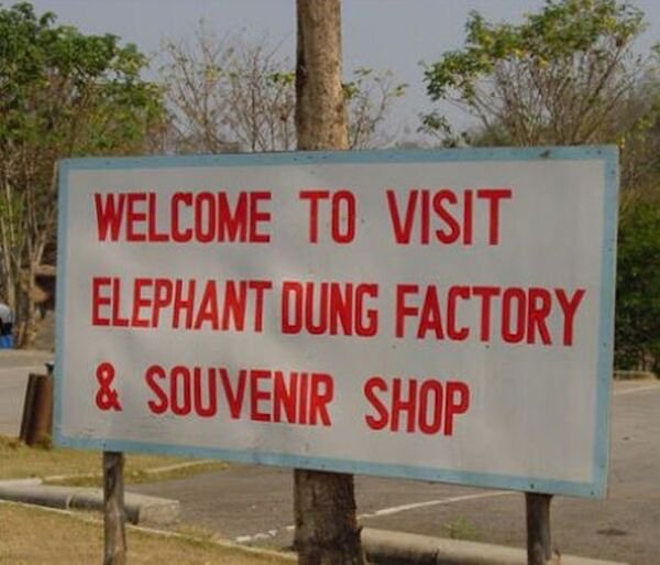 street sign - Welcome To Visit Elephant Dung Factory & Souvenir Shop