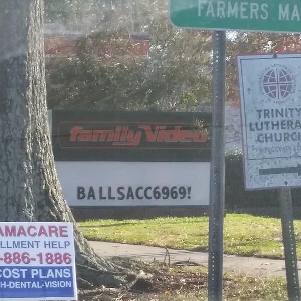 tree - Farmers M Fame Video Trinity Luthera Church Welcome BALLSACC6969! Amacare Llment Help 8861886 Cost Plans HDentalVision