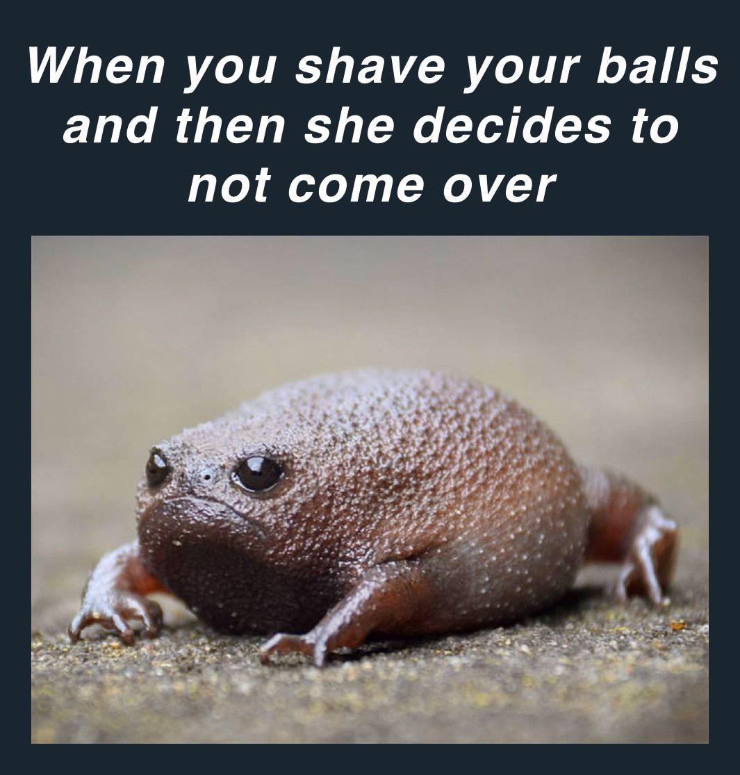 adorable frog - When you shave your balls and then she decides to not come over