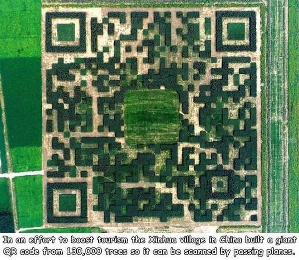 xilinshui qr code - In an effort to boost tourism the Xinhua village in China built a giant Qr code from 130,000 trees so it can be seanned by passing planes.