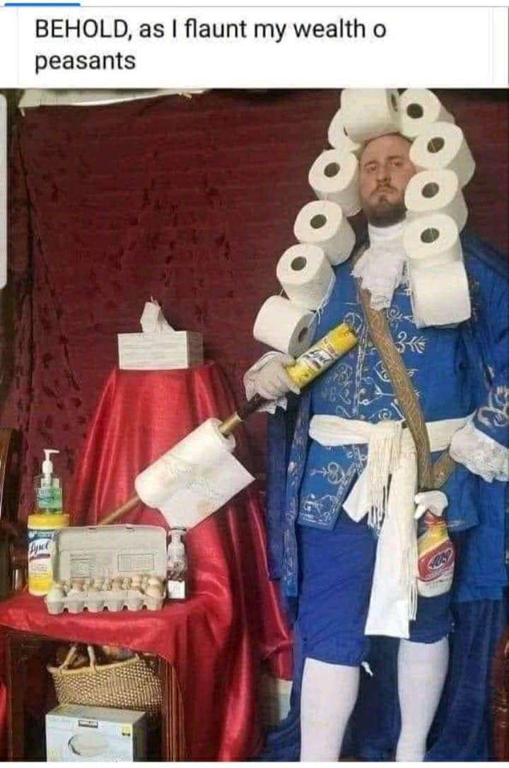 toilet paper wigs men - Behold, as I flaunt my wealth o peasants