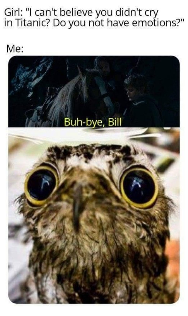 cute potoo bird - Girl "I can't believe you didn't cry. in Titanic? Do you not have emotions?" Me Buhbye, Bill