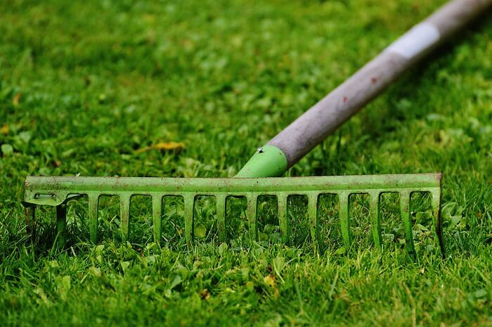 When I was cleaning out my shed in the back, I stepped on a rake and the pole smacked me in the face. Literally, like the cartoons. It happened three more times before I came up with the bright idea to move the rake.