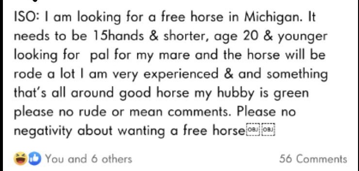handwriting - Iso I am looking for a free horse in Michigan. It needs to be 15hands & shorter, age 20 & younger looking for pal for my mare and the horse will be rode a lot I am very experienced & and something that's all around good horse my hubby is gre