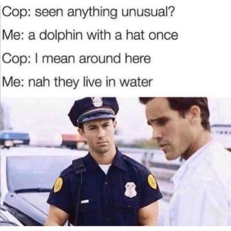 cop seen anything unusual - Cop seen anything unusual? Me a dolphin with a hat once Cop I mean around here Me nah they live in water