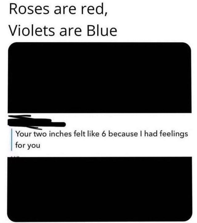 roses are red violets are blue your 2 inches felt like 6 - Roses are red, Violets are Blue Your two inches felt 6 because I had feelings for you