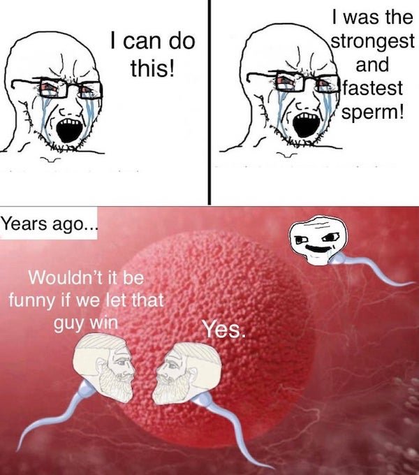 Internet meme - I can do this! I was the strongest and fastest sperm! Years ago... Wouldn't it be funny if we let that guy win Yes.