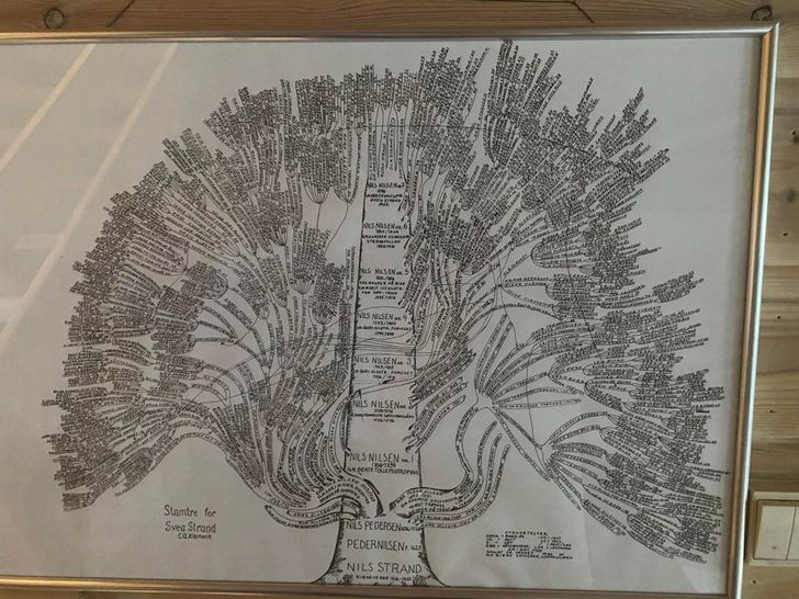 “My whole family tree dating back to the 1600s”