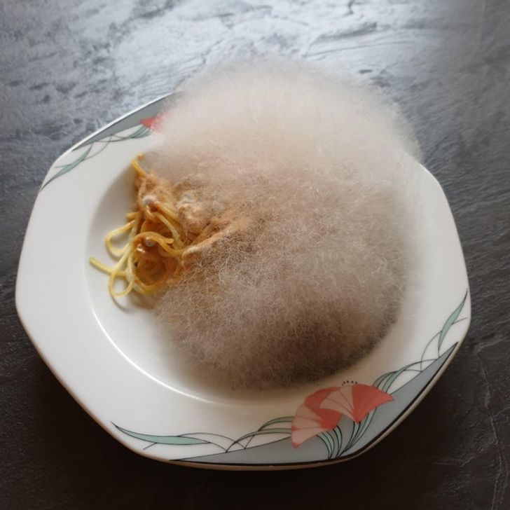 “Forgot about some spaghetti with mushrooms in the microwave for a week. Now it’s a fluffy ball of mold.”