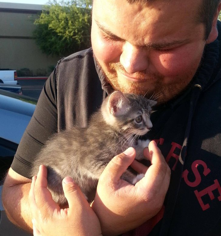 Found 9 kittens in a box in a desert. My friends and I adopted them all.