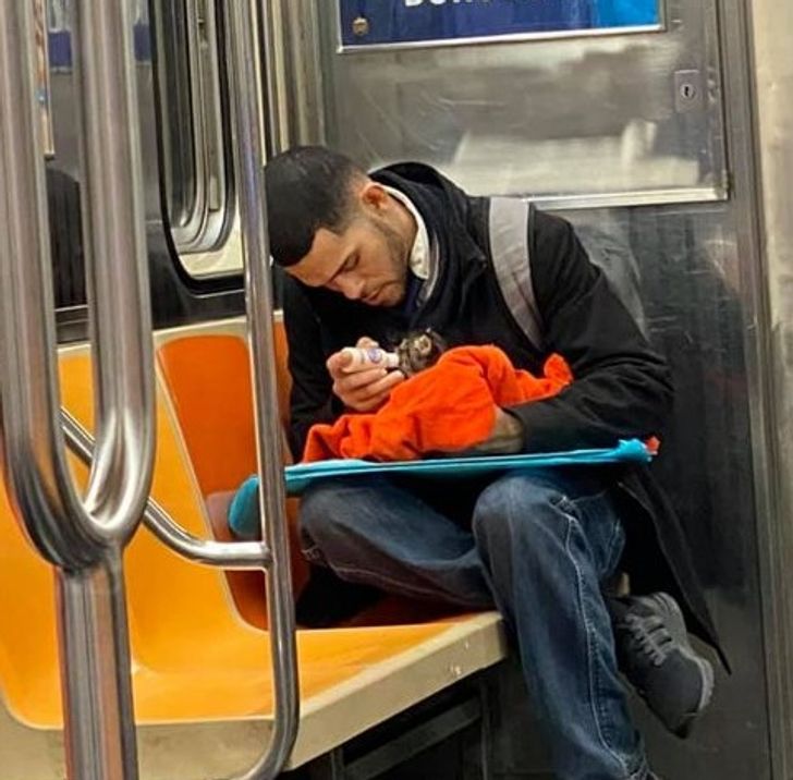 “A guy bottle feeding a kitten on the subway”