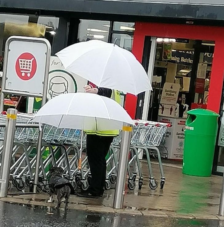 “A security staff member keeping a customer’s dog dry while they shop”