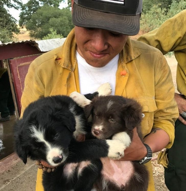 “Taking care of an adorable little family that was left behind during an evacuation”