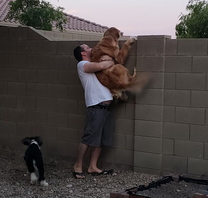 “Cooper hasn’t been able to play with our neighbor’s dog. My husband lifts him up just so he can say hi.”