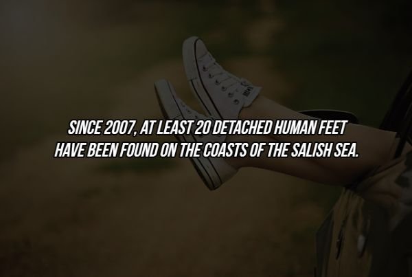 17 Creepy Facts You Might Not Want to Know.