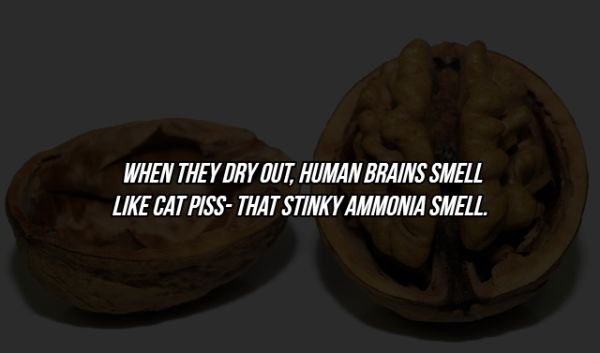 17 Creepy Facts You Might Not Want to Know.