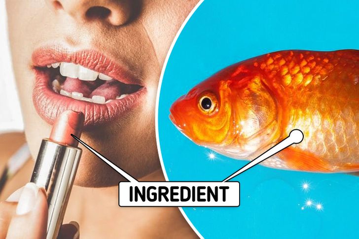 fun facts -- fish scale lipstick