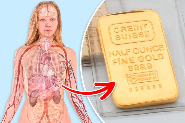 fun facts - human body contains gold
