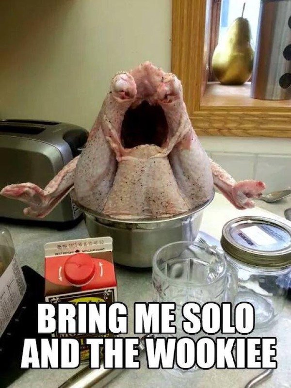 happy thanksgiving funny - Bring Me Solo And The Wookiee