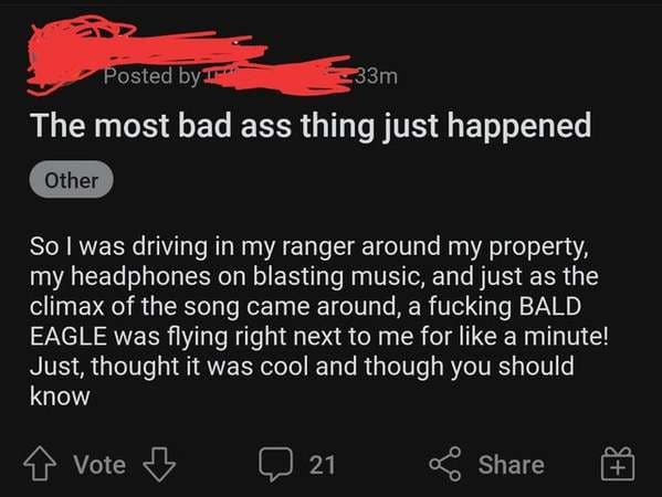 funny lies - The most bad ass thing just happened So I was driving in my ranger around my property, my headphones on blasting music, and just as the climax of the song came around, a fucking Bald Eagle was flying right next to me for a m