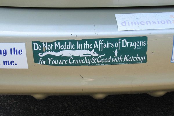 not meddle in the affairs - dimension ng the Do Not Meddle In the Affairs of Dragons for You are Crunchy & Good with Ketchup me.