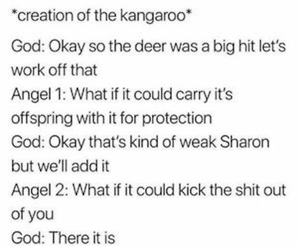 GDP deflator - creation of the kangaroo God Okay so the deer was a big hit let's work off that Angel 1 What if it could carry it's offspring with it for protection God Okay that's kind of weak Sharon but we'll add it Angel 2 What if it could kick the shit