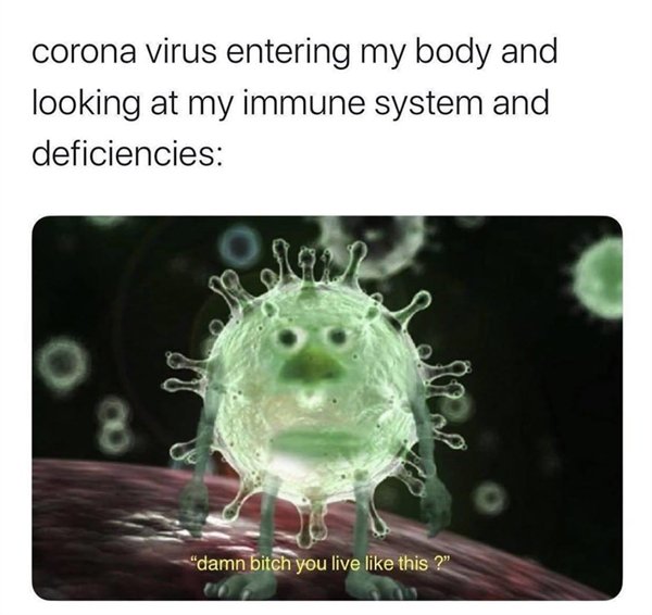 coronavirus entering my body meme - corona virus entering my body and looking at my immune system and deficiencies Sau 8 "damn bitch you live this?"