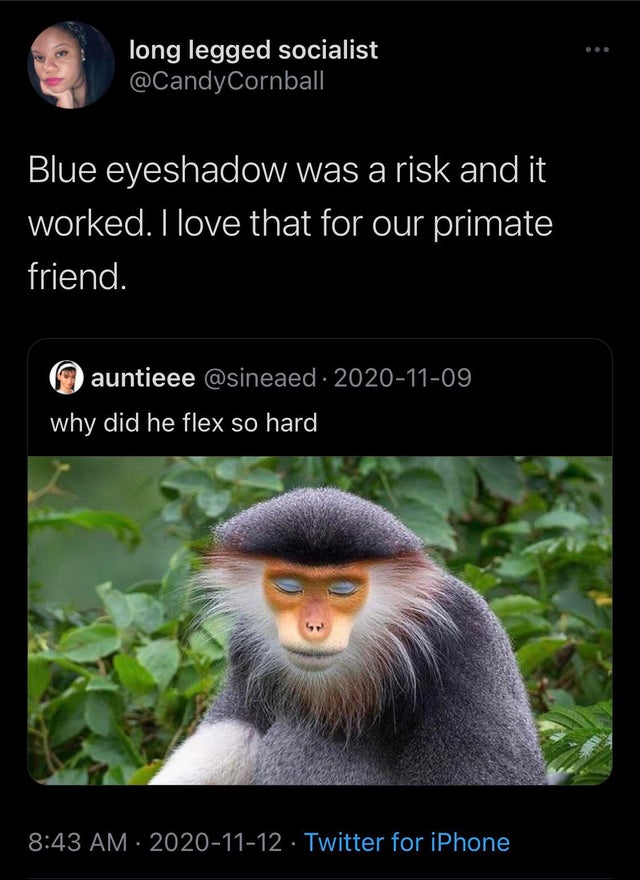 long legged socialist Blue eyeshadow was a risk and it worked. I love that for our primate friend. auntieee why did he flex so hard Twitter for iPhone