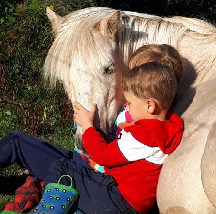 “When our pony lay down, our kids got down and snuggled in. It promptly curled its head around and fell asleep!”