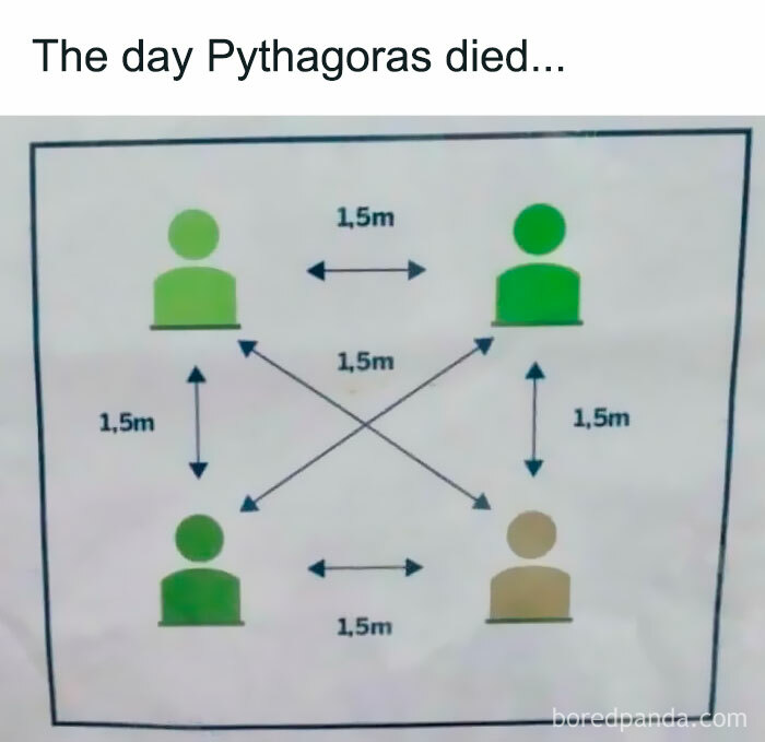 The day Pythagoras died... 1,5m 1,5m 1,5m 1,5m 1,5m boredipanda.com