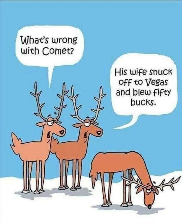 holiday humor - What's wrong with Comet? His wife snuck Off to Vegas and blew fifty bucks.