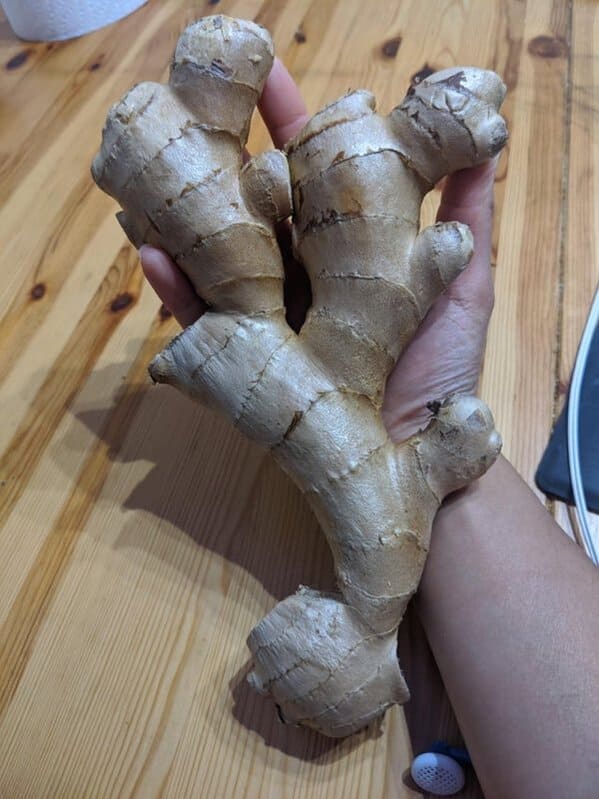 Asked the hubby to get me some ginger. This is some ginger.