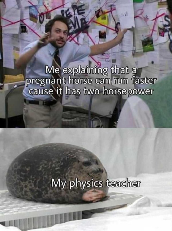 explaining seal meme - Me explaining that a pregnant horse can run faster cause it has two horsepower My physics teacher